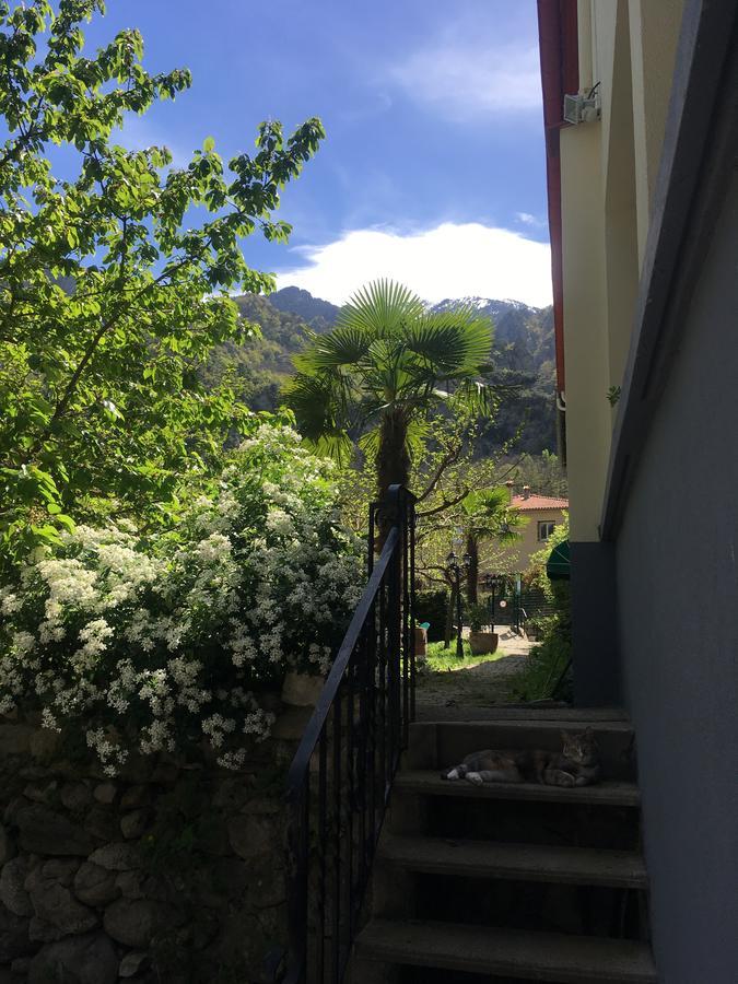 La Mirabelle-Casteil Country House Pension Buitenkant foto