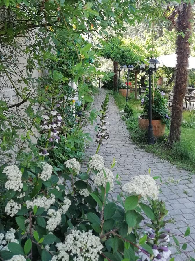 La Mirabelle-Casteil Country House Pension Buitenkant foto