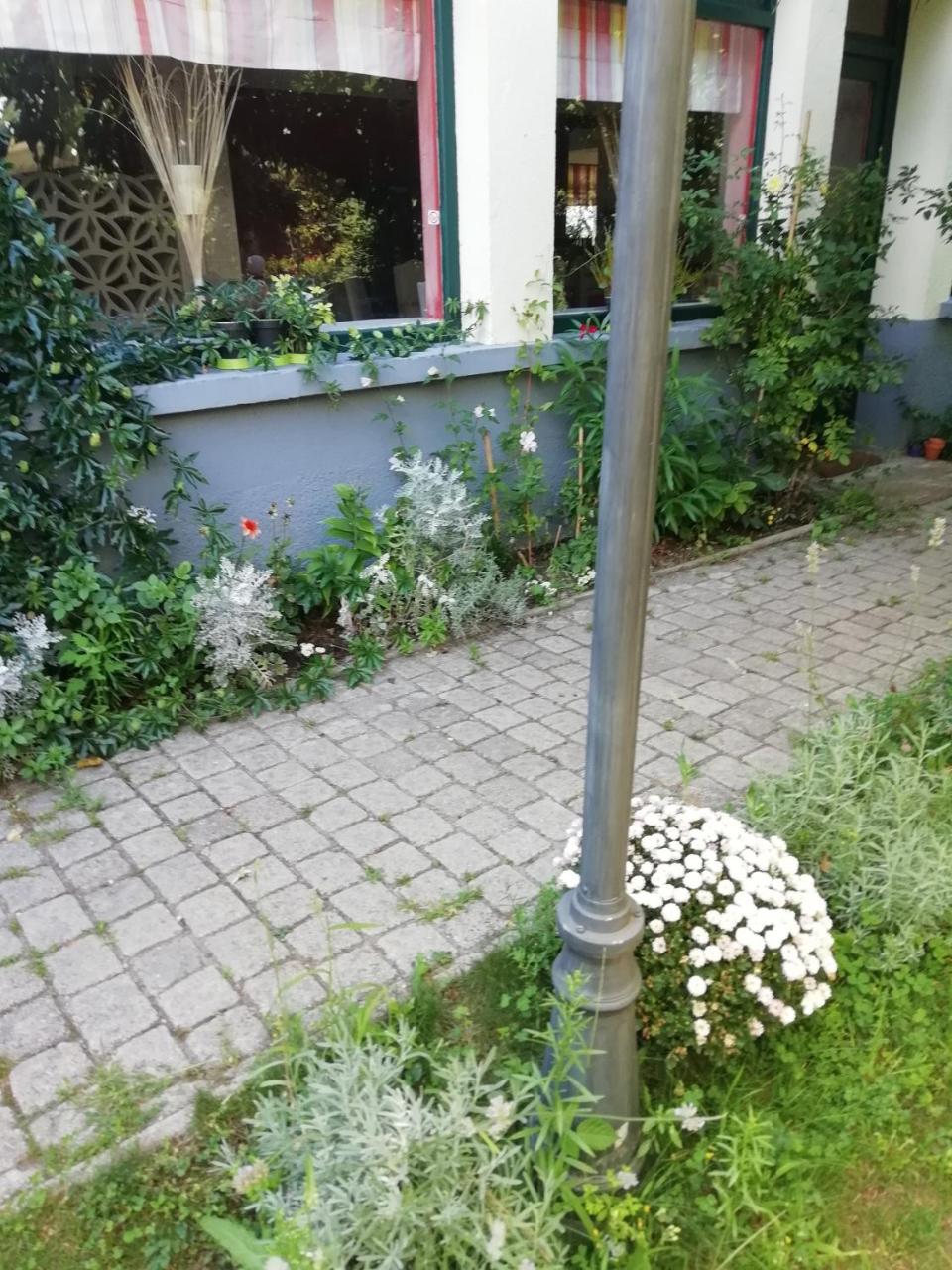 La Mirabelle-Casteil Country House Pension Buitenkant foto